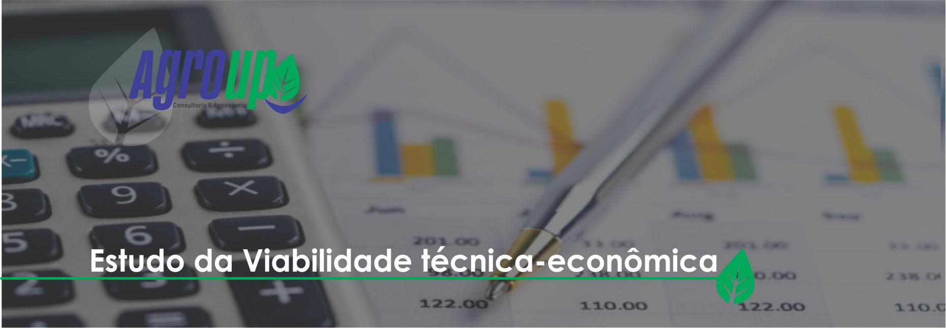 Estudo da viabilidade sócio-econômica