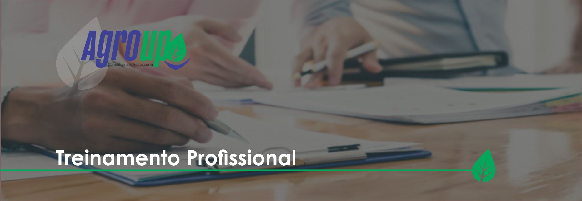 Treinamento profissional